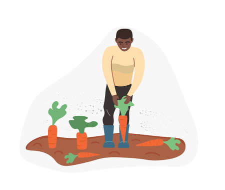 Organic production. Man growing carrot isolated on white background. Process of local growing in modern style. Organic healthy food. Perfect for poster, website, brochure. Flat Vector Illustrationのイラスト素材