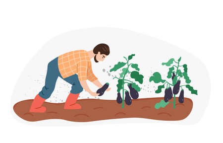 Organic production. Man growing eggplant isolated on white background. Process of local growing in modern style. Organic healthy food. Perfect for poster, website, brochure. Flat Vector Illustrationのイラスト素材