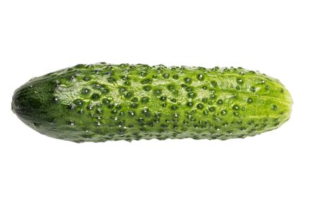single green cucumber with pimples isolated on white backroundの写真素材