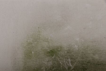 beige plaster wall texture with green mossの写真素材