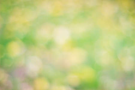 spring colour bokeh background with circlesの写真素材
