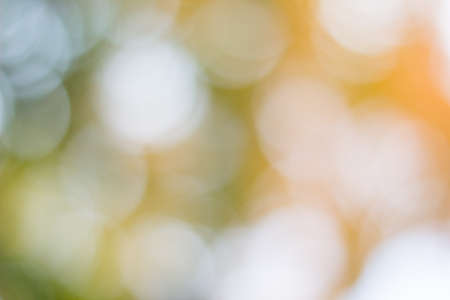 spring colour bokeh background with circlesの写真素材