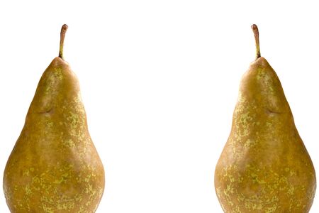 frame with two pears, white backgroundの写真素材