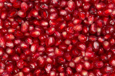 background from many fresh pomegranate seedsの写真素材