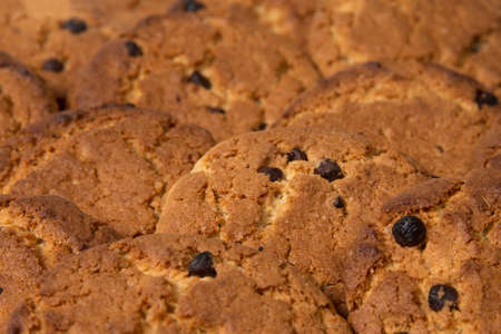 cookies with chocolate pieces, can be used as a backgroundの写真素材