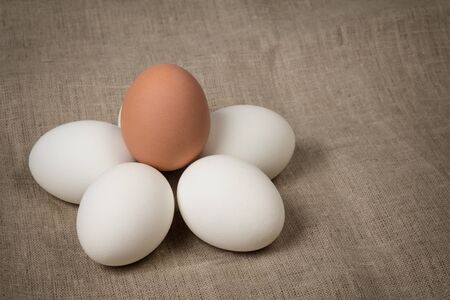 chicken eggs on burlap, rustic easter backgroundの写真素材