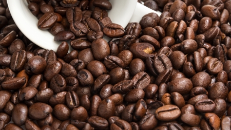 heap of coffee beans with cup, coffee backgroundの写真素材