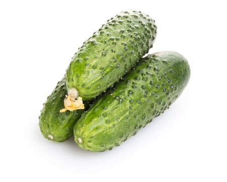 fresh greenhouse cucumbers, isolated on white backgroundの写真素材