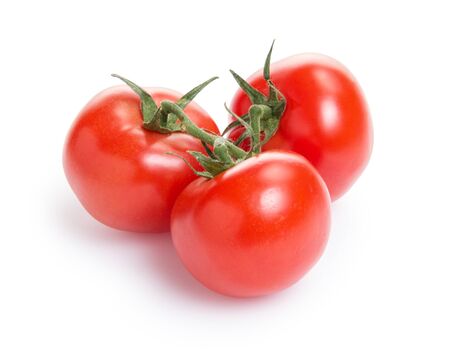 fresh tomatoes with branch, isolated on whiteの写真素材