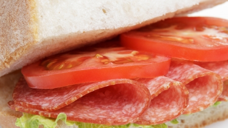 italian sandwich with salami, close upの写真素材