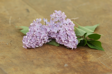 fresh lilac flowers on table, selective focusの写真素材