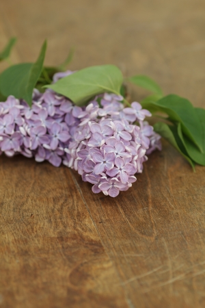fresh lilac flowers on table, selective focusの写真素材