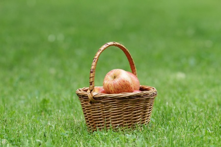 wicker basket full of gala apples, on fresh grassの写真素材