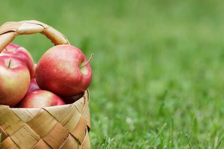 wicker basket full of gala apples, on fresh grassの写真素材