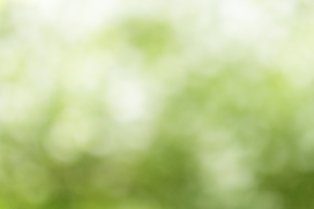 summer background from defocused lush, bokehの写真素材
