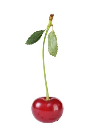 ripe cherries with stem and leaves, isolated on whiteの写真素材