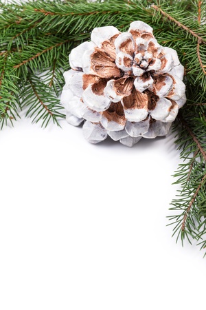 christmas tree twig with cone composition, with white copy spaceの写真素材