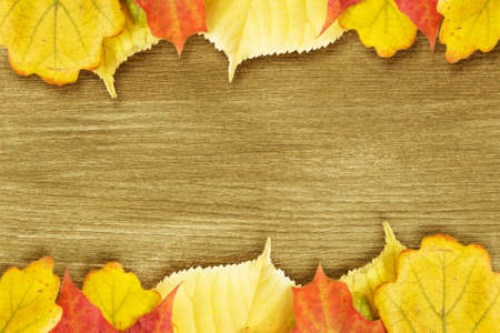 Different autumn leaves opn gold wood plank, autumn themeの写真素材