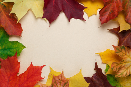 autumn maple leaves on paper surface, horizontal