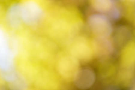 autumn out of focus , good for backdropの写真素材