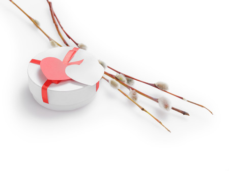 pussy-willow branches with gift box, for valentines dayの写真素材
