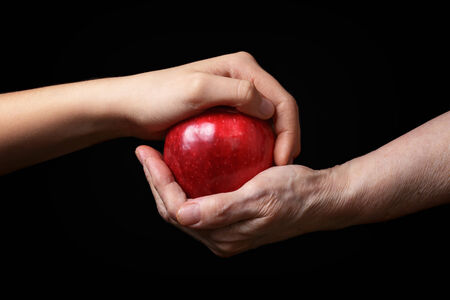 hands holding apple
