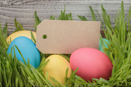 easter eggs hiden in grass border composition, vintage toned