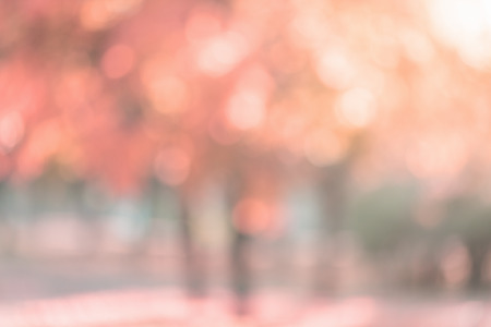 bright spring peach bokeh background, good for backgropの写真素材
