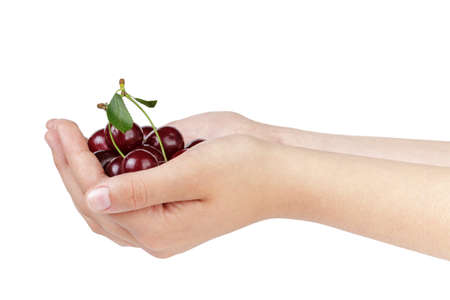 female teen hands holds cherries, isolated on whiteの写真素材