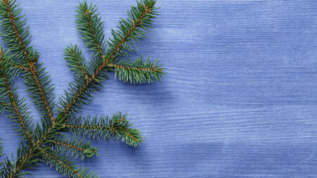 christmas tree branch on blue wood table, rustic background
