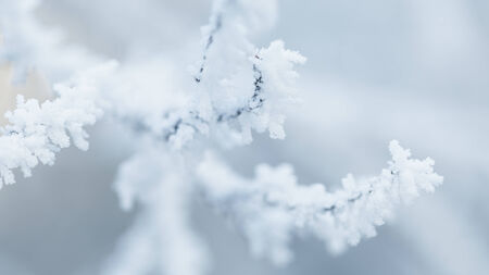 rime covered branches of tree in winter, closeup photoの写真素材