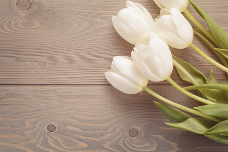 beautiful  white tulips on wooden background with copy space, springtimeの写真素材