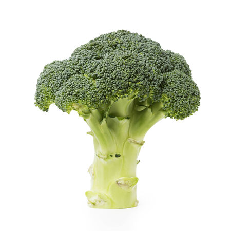 fresh broccoli part isolated on white backgroundの写真素材