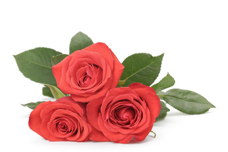 three fresh red roses isolated on white backgroundの写真素材