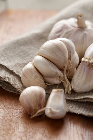 fresh organic garlic on sack clothの写真素材