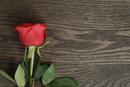 Romantic background with red rose on wood tableの写真素材