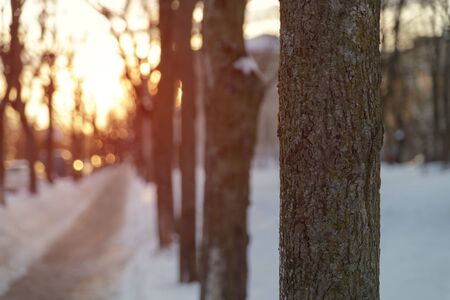 sidewalk in town morning photoの写真素材
