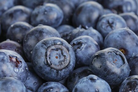fresh washed wet blueberries, close up photoの写真素材