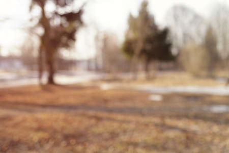blurred background with park in early springの写真素材