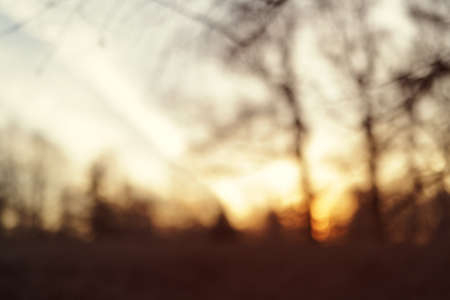 blurred background with park in early spring sunsetの写真素材