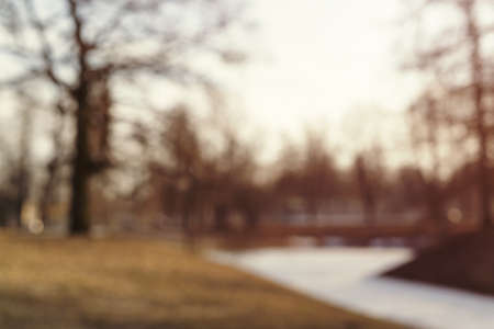 blurred background with park in early springの写真素材