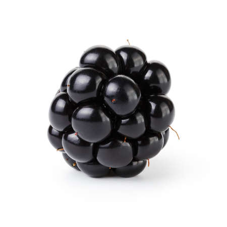 fresh blackberry berry isolated on whiteの写真素材