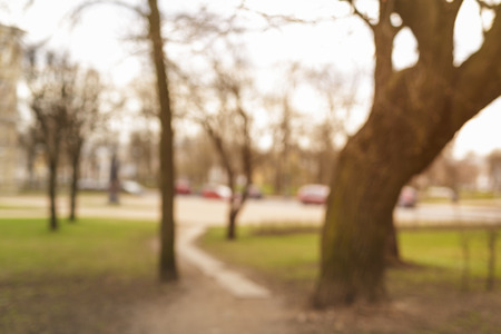 defocused background of park in townの写真素材