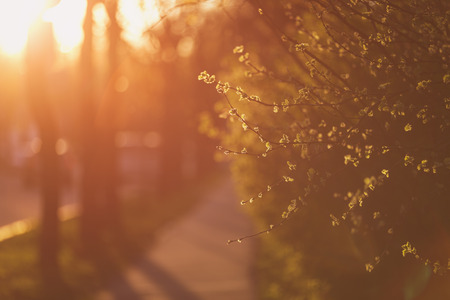 sidewalk in town with sunset light, shallow focus with copy spaceの写真素材