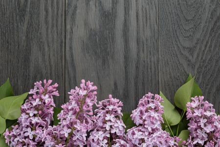 purple lilac flower on old oak table top view with copy space, flower backgroundの写真素材