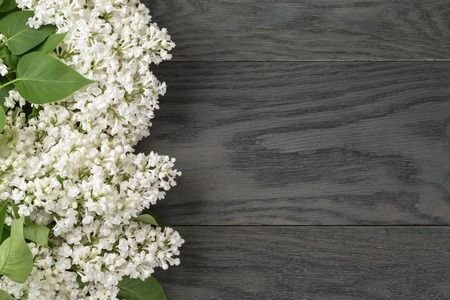 white lilac flower on old oak table top view with copy space, flower backgroundの写真素材