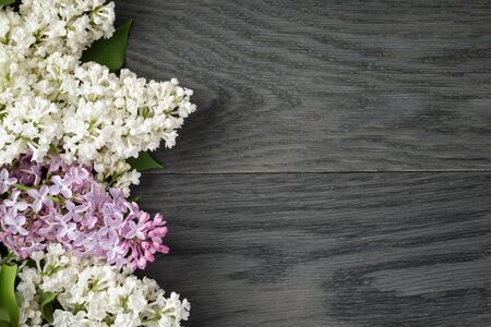 purple and white lilac flower on old oak table top view with copy space, flower backgroundの写真素材