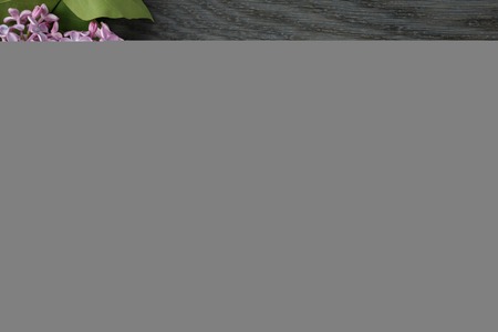 purple lilac flower on old oak table top view with copy space, flower backgroundの写真素材