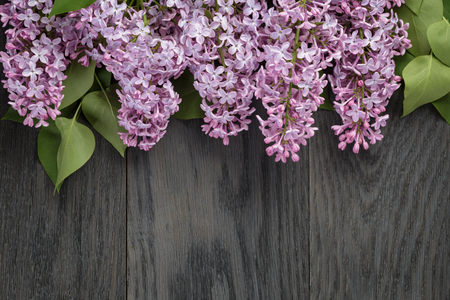 purple lilac flower on old oak table top view with copy spaceの写真素材