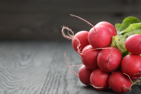 freshly harvested radishes on rustic table with copy spaceの写真素材